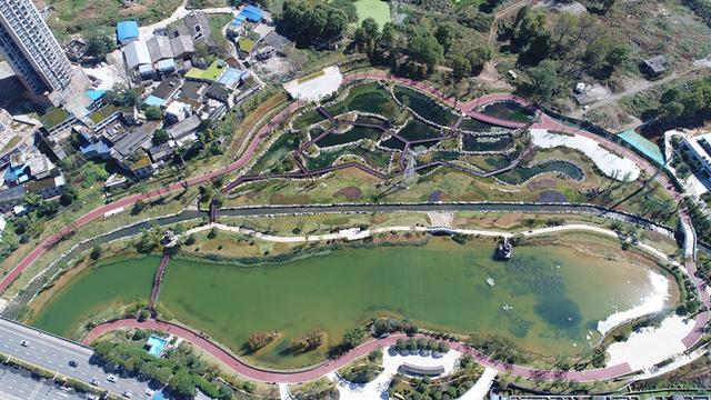 “臭水塘”變身“城市花園”！貴陽(yáng)七彩湖生態(tài)濕地公園被媒體稱贊