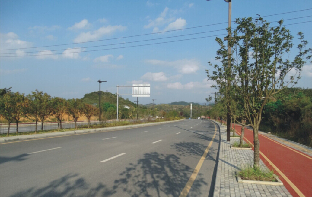 貴陽市花溪區(qū)青巖鎮(zhèn)1號道路工程實景圖2